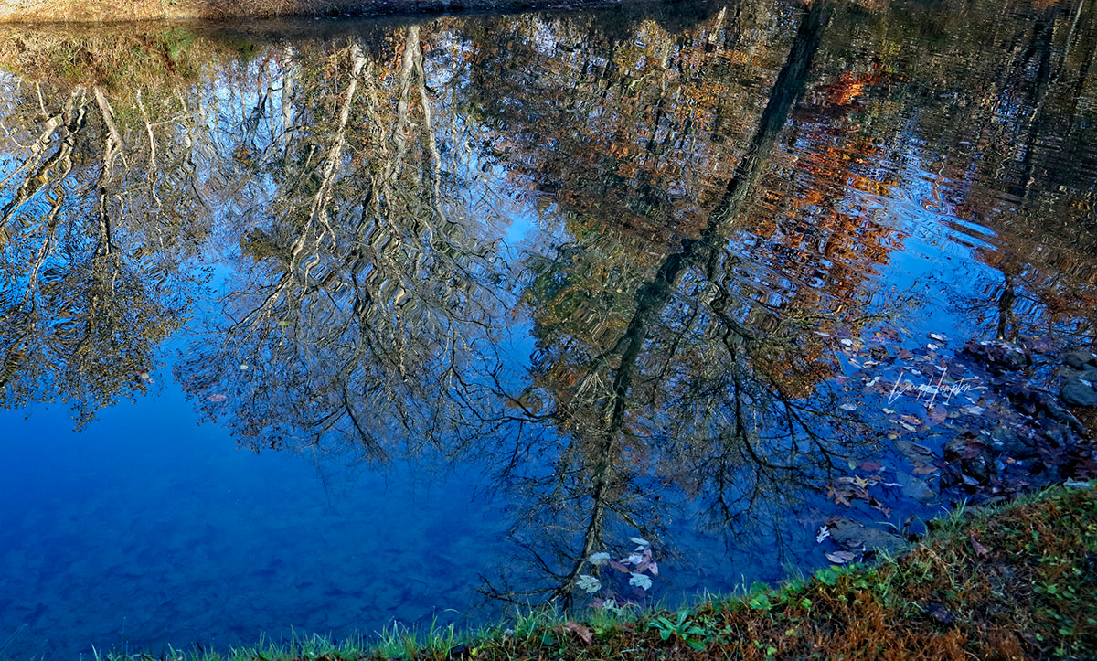 Little Laurel Reflections 0526 by LARRY HAMPTON