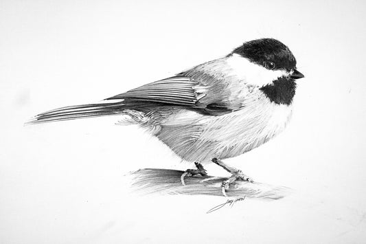My Little Chickadee - Pencil Drawing Fine Art Print by Larry Hampton