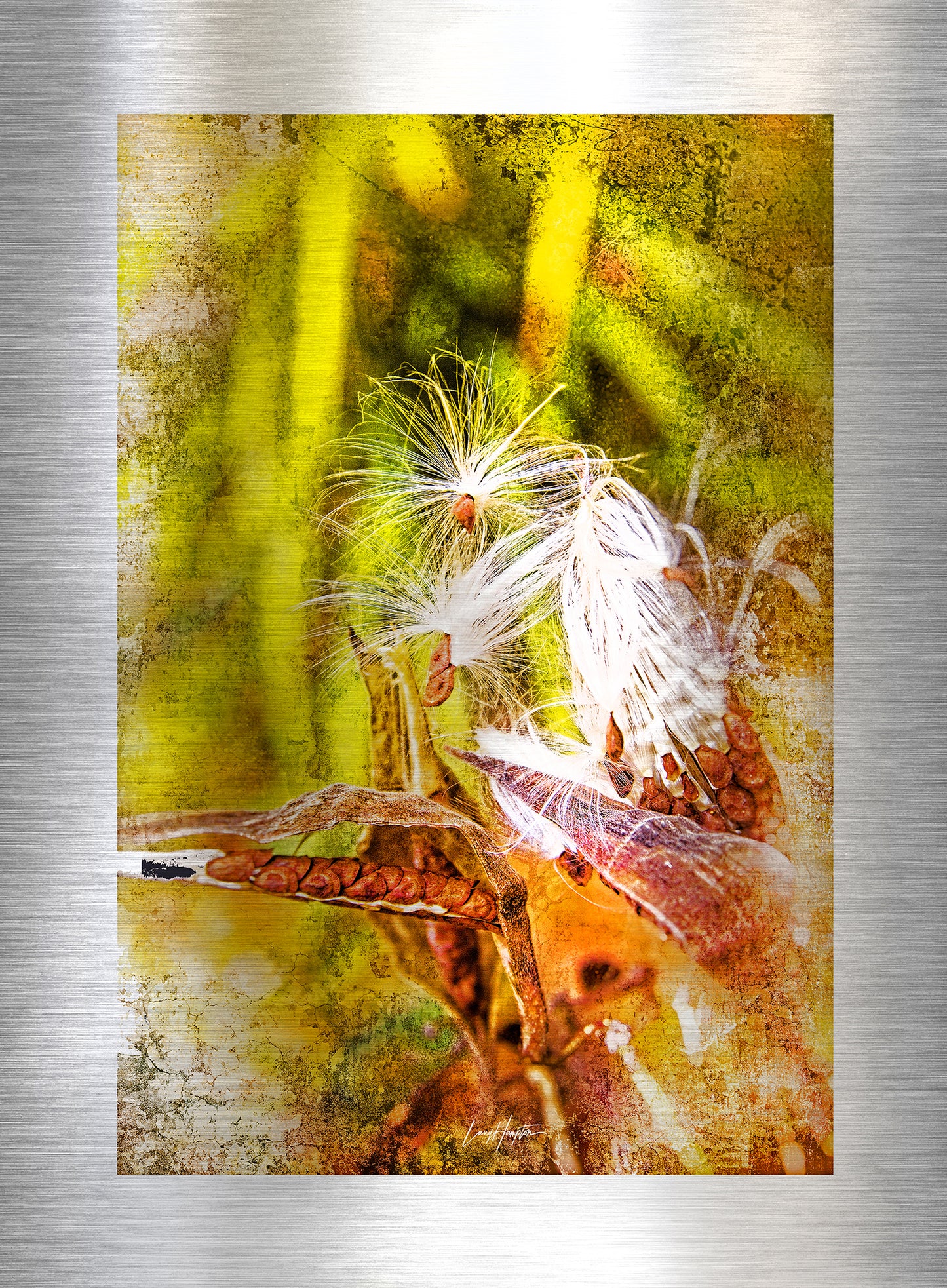 Eye Pods - Fine Art Abstract Metal Print
