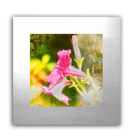 Bright Tunes - Fine Art Abstract Metal Print