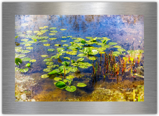 LILY POND - Fine Art Abstract Metal Print