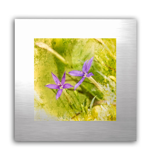 My Stars - Fine Art Abstract Metal Print