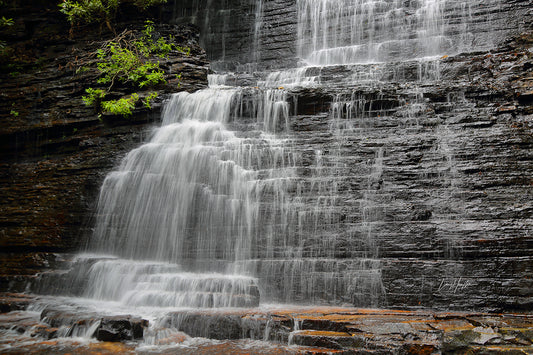 Eden Shower 0083 by LARRY HAMPTON