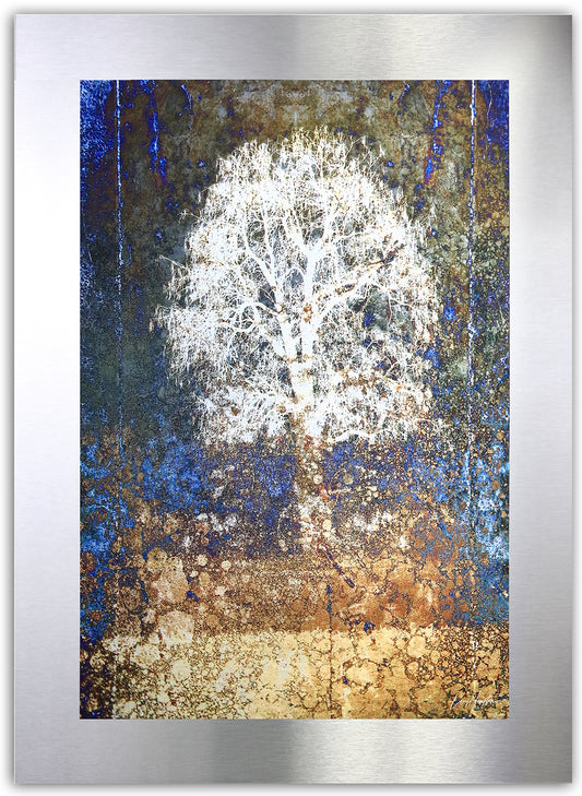 Fossil - Fine Art Abstract Metal Print