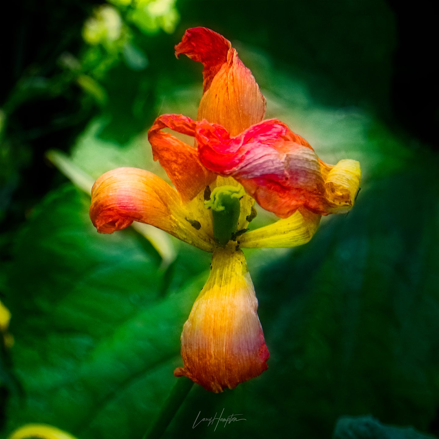 Imperfect by LARRY HAMPTON