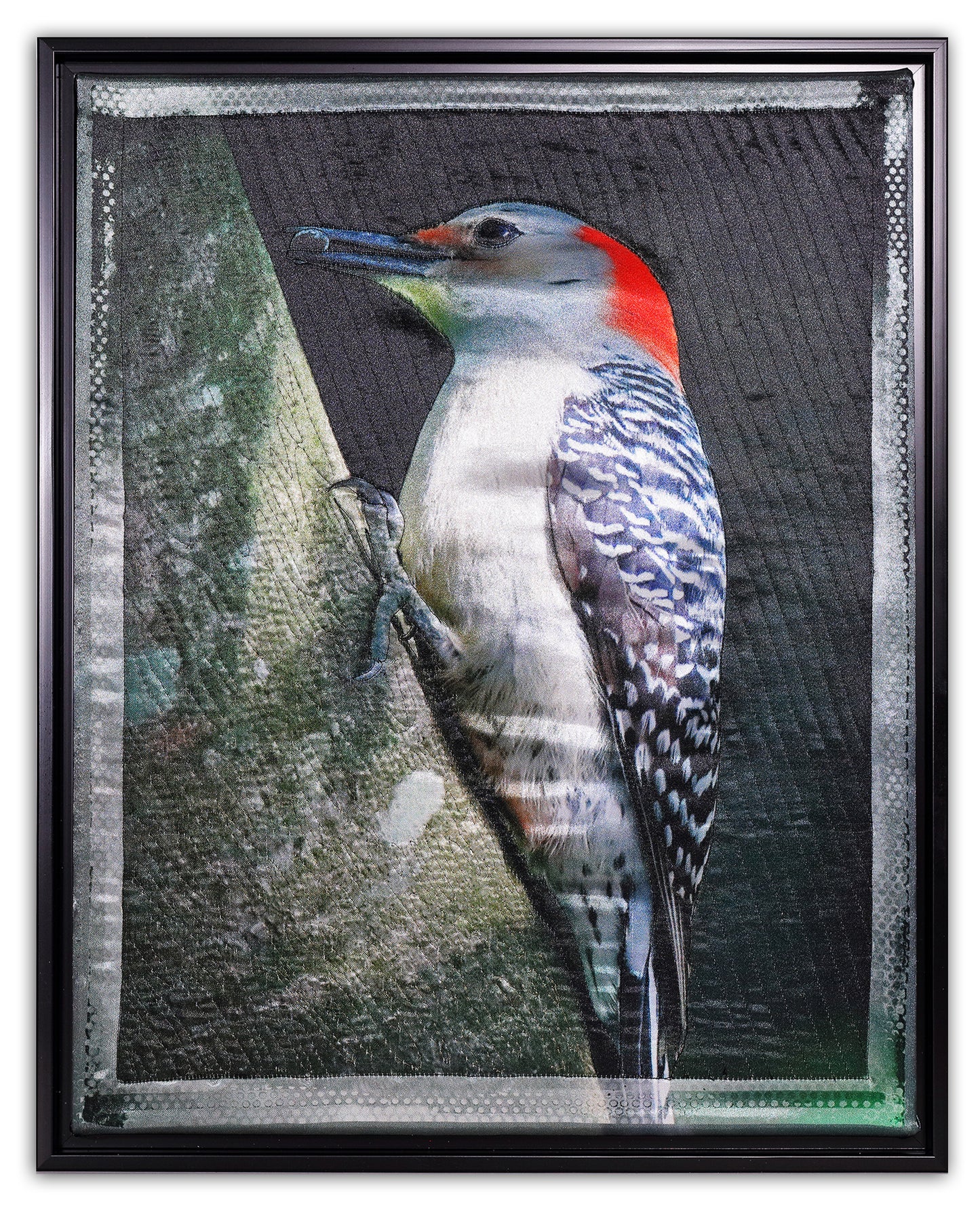 Red-bellied Woodpecker - Bird Watch Wall Quilt by Karen & Larry Hampton