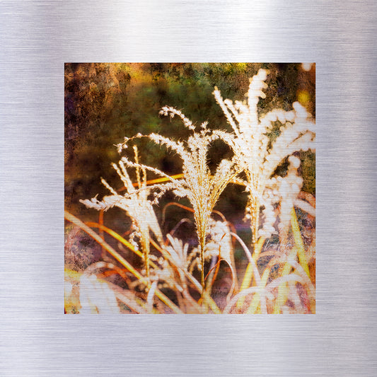 FLAIR - Fine Art Abstract Metal Print
