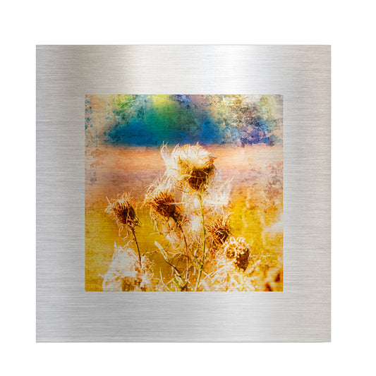 Metal Pods - Fine Art Abstract Metal Print