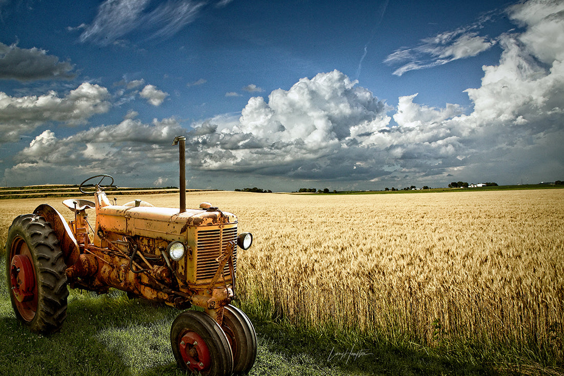 Old Yeller