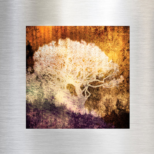 SIENNA - Fine Art Abstract Metal Print