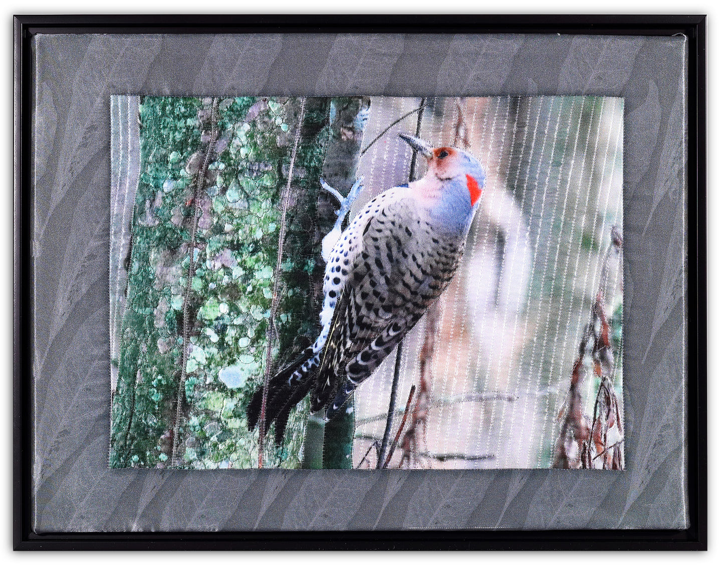 NORTHERN FLICKER BW8840 by KAREN & LARRY HAMPTON