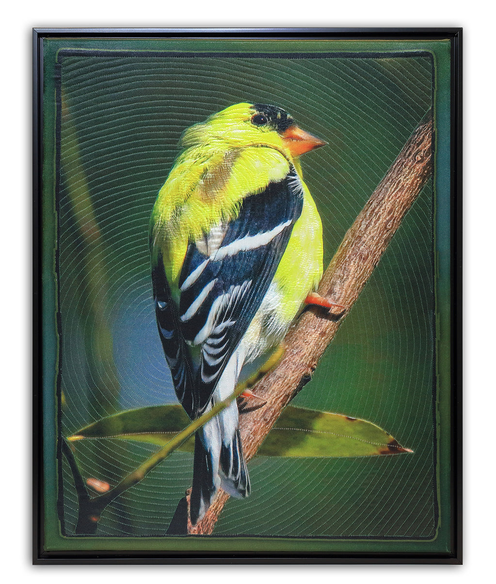 GOLDFINCH BW2039 by KAREN & LARRY HAMPTON