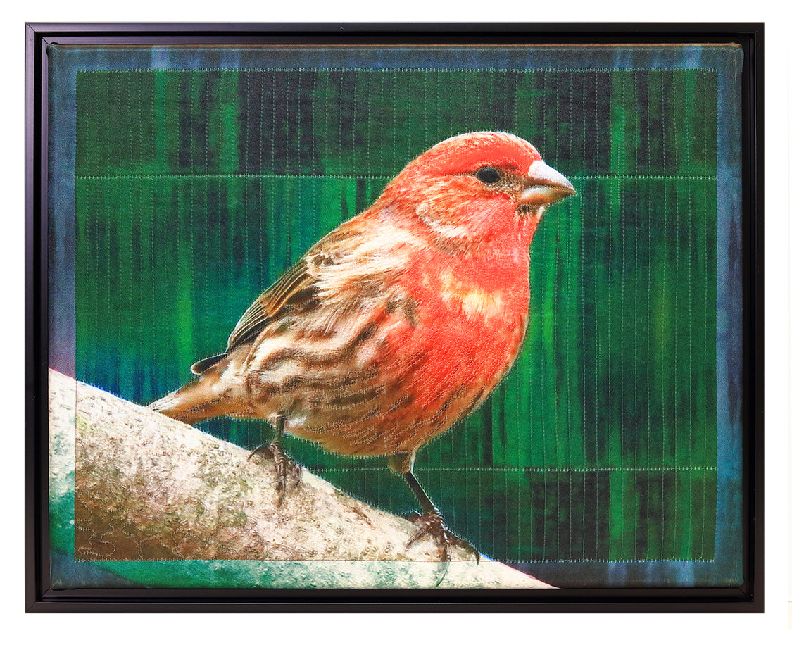 House Finch BW1934 - Bird Watch Wall Quilt by Karen & Larry Hampton