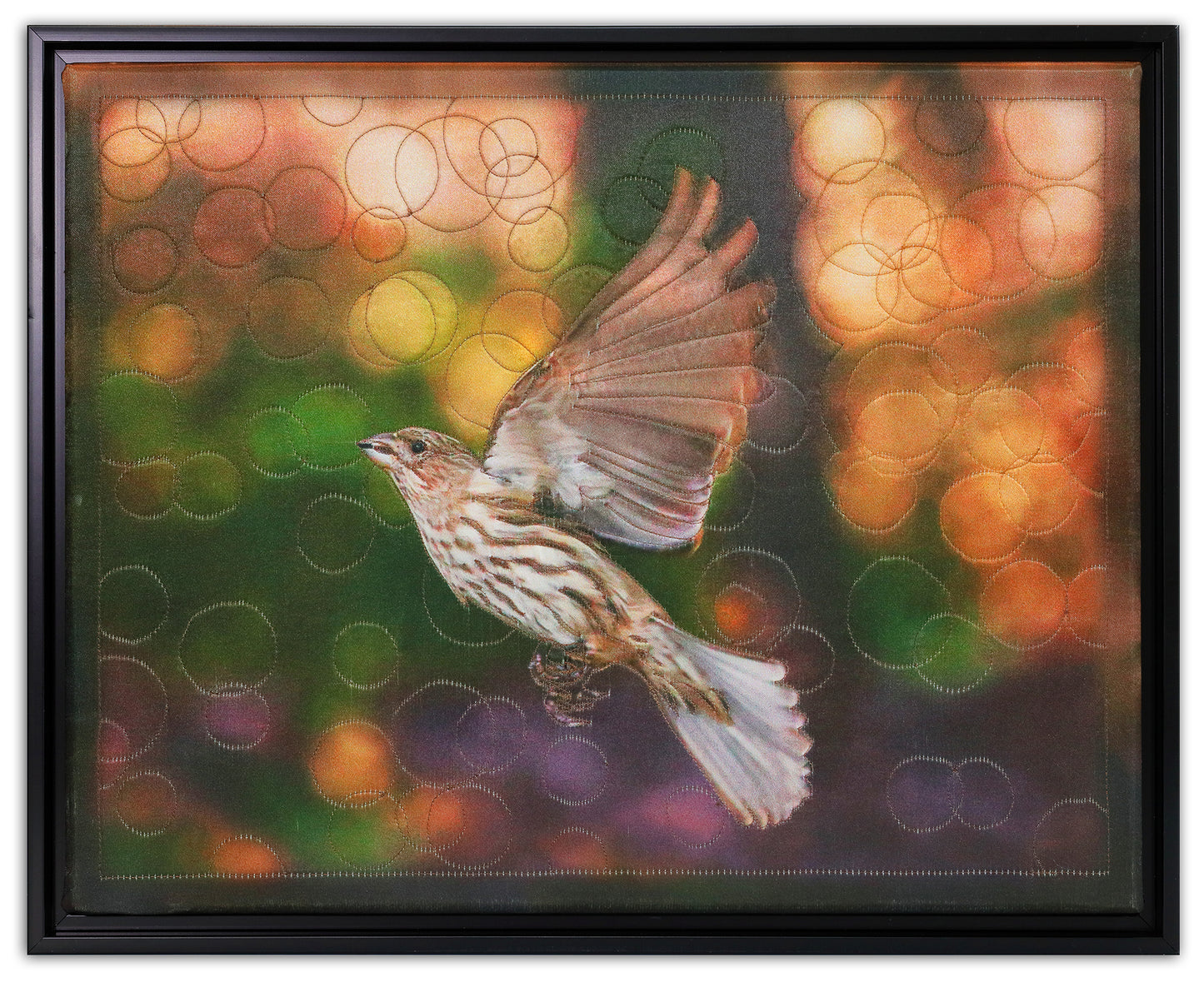 HOUSE FINCH BW2065 BY KAREN & LARRY HAMPTON