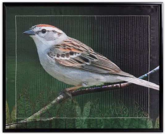 House Sparrow by KAREN & LARRY HAMPTON