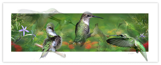 Hummer Lover - Fine Art Photo Composit Print