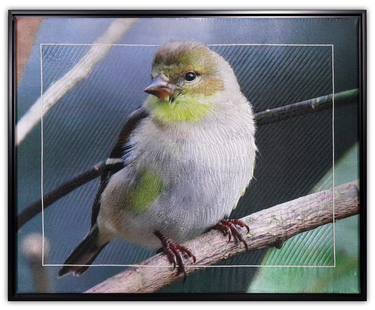 Goldfinch by KAREN & LARRY HAMPTON