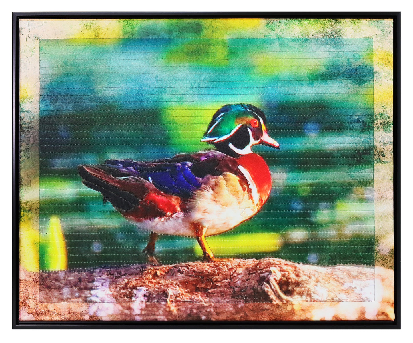 WOOD DUCK BW2090 by KAREN & LARRY HAMPTO