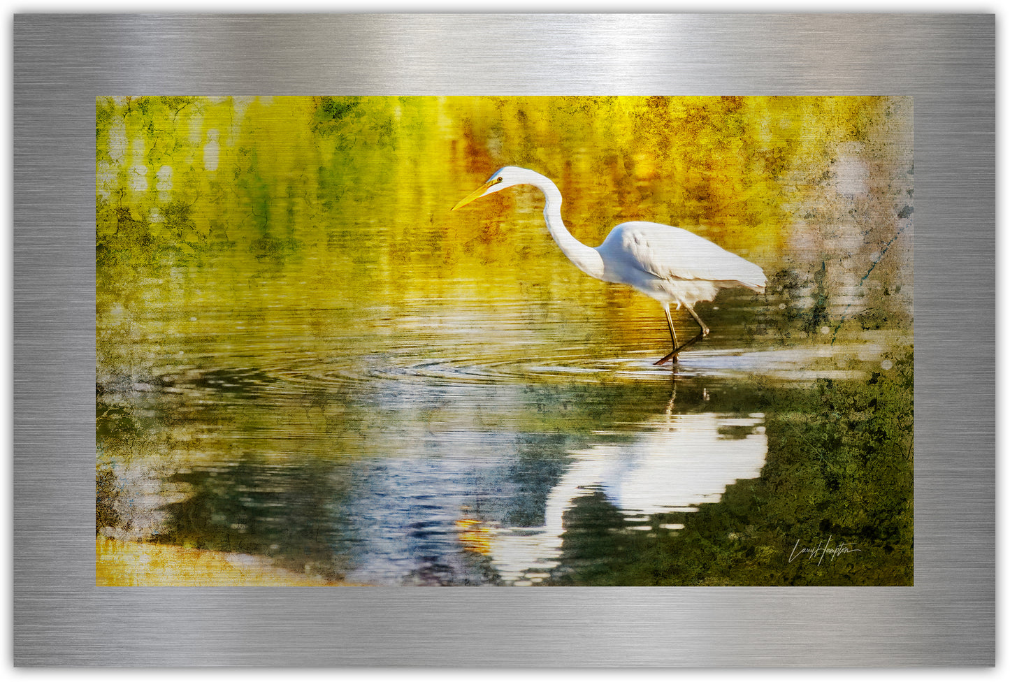 WADING EGRET - Fine Art Abstract Metal Print