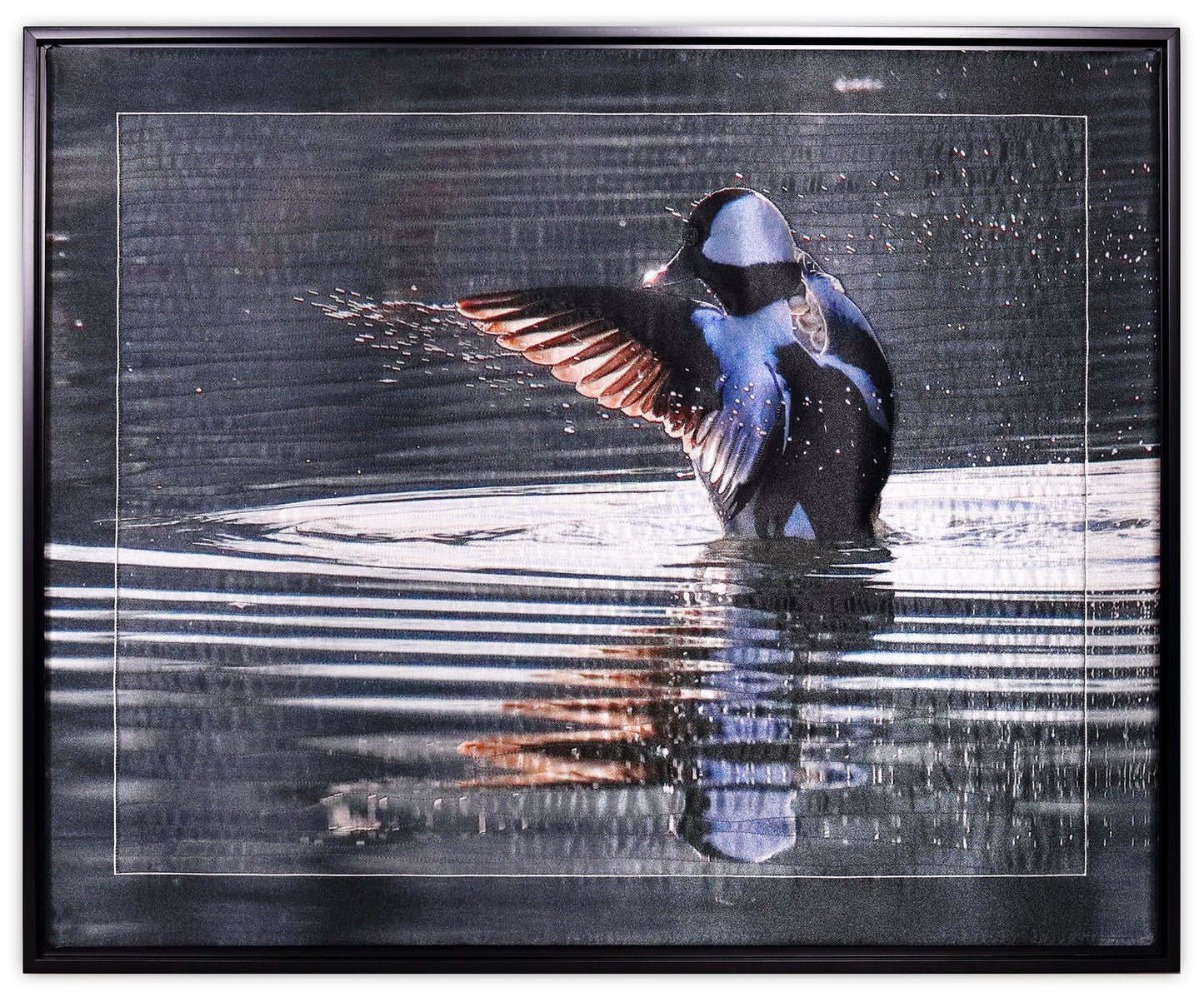 Bufflehead by KAREN & LARRY HAMPTON