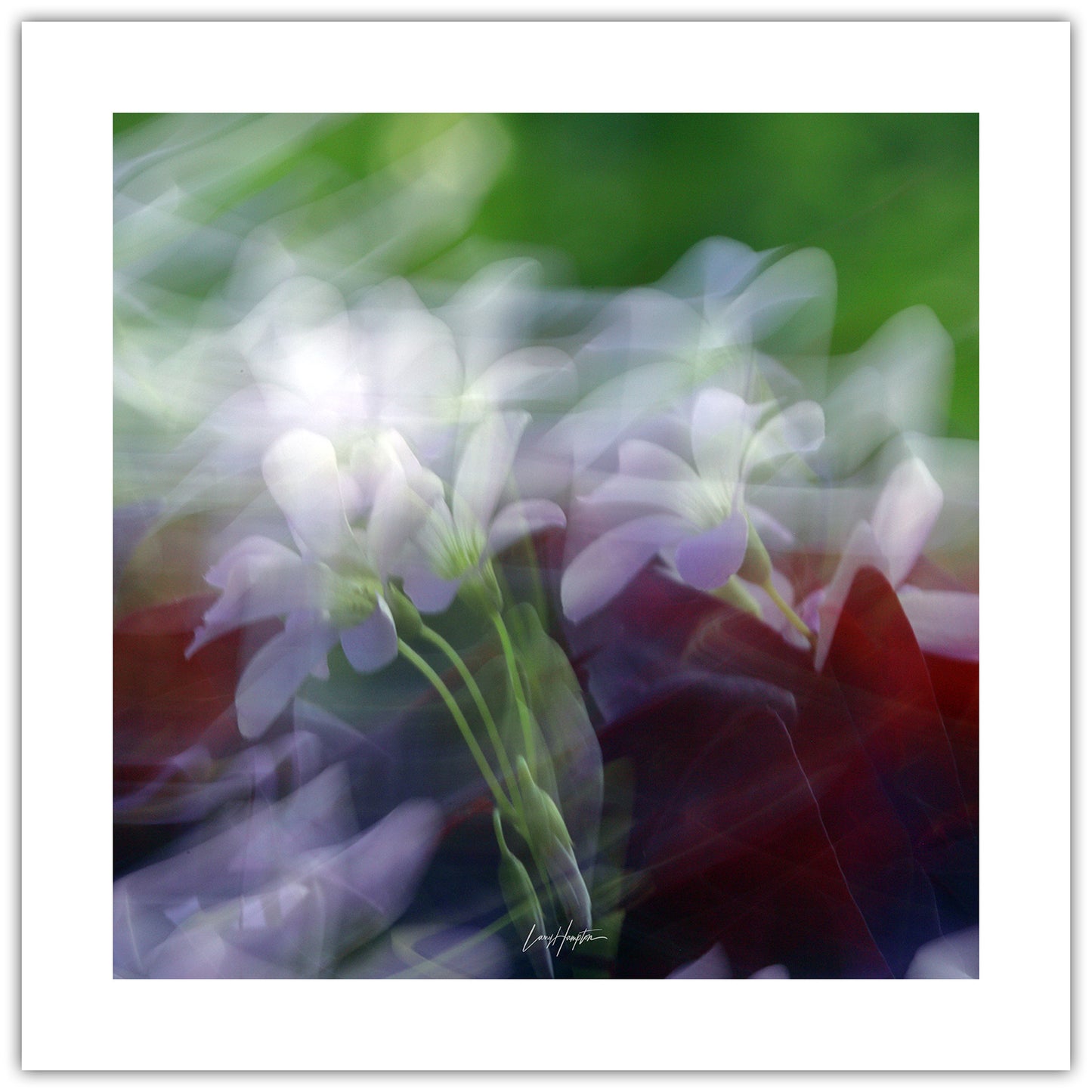 Impressionist Bloom - ICM photo print of flowers blended in mesmerizing harmony.