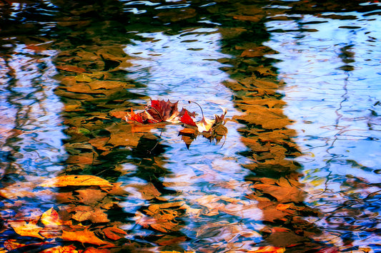 Little Laurel River by LARRY HAMPTON