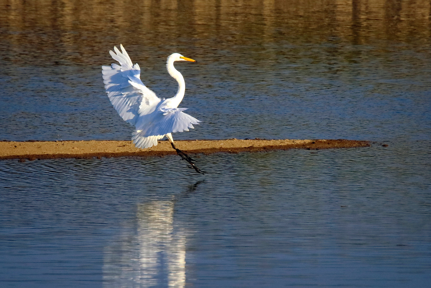 IMMINENT SPLASH DOWN by LARRY HAMPTON