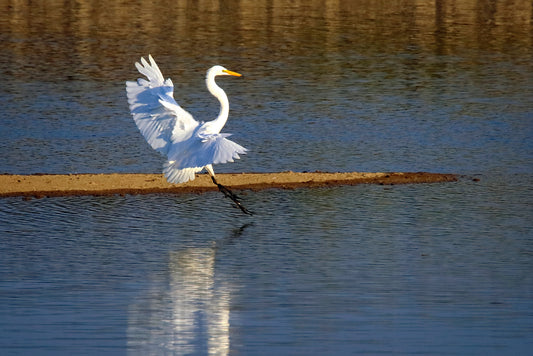 IMMINENT SPLASH DOWN by LARRY HAMPTON