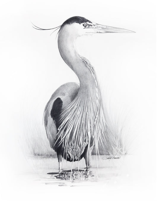 The great blue heron by LARRY HAMPTON