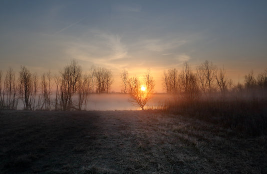 Bog Fog by LARRY HAMPTON