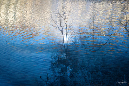 WATER WORLD by LARRY HAMPTON