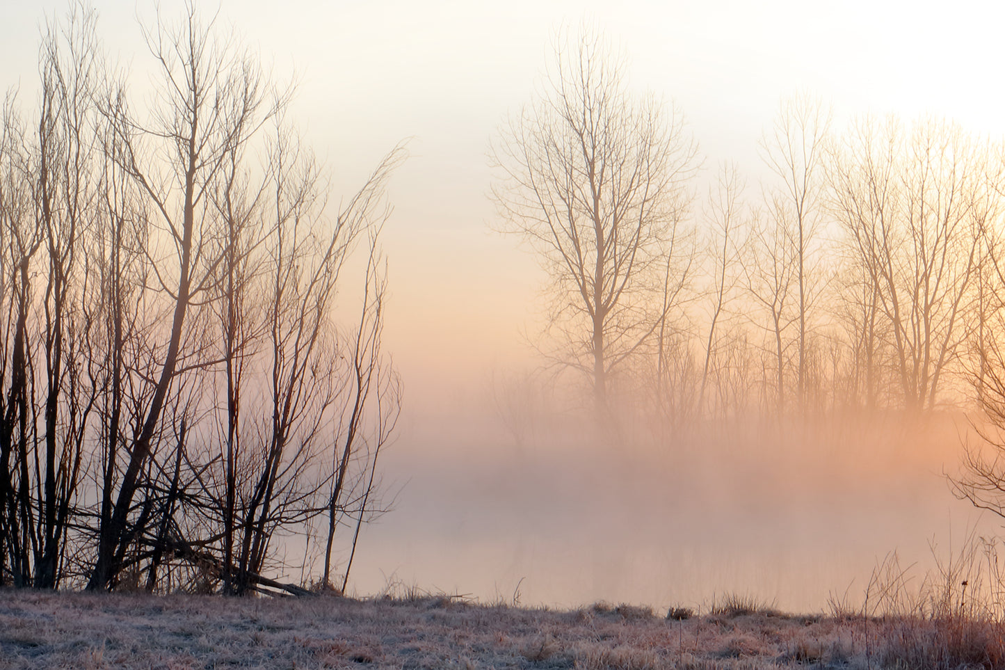 FROST FOG MORNING by LARRY HAMPTON