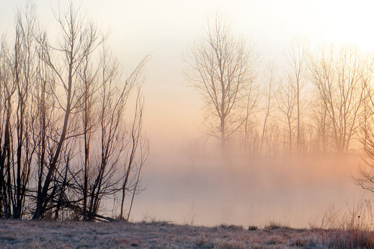 FROST FOG MORNING by LARRY HAMPTON