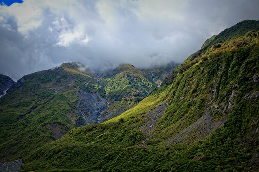 Fox Glacier Valley by LARRY HAMPTON