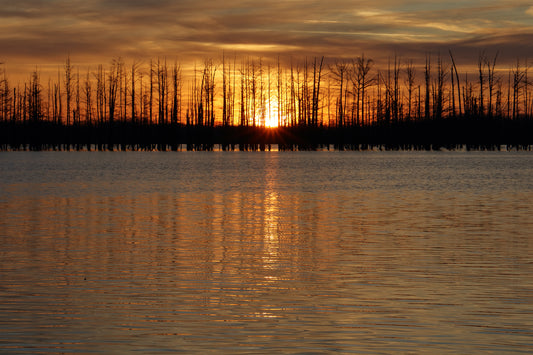HOVEY SUNRISE by LARRY HAMPTON