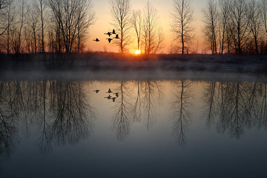 MORNING FLIGHT by LARRY HAMPTON