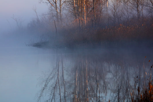 Moody Blues by LARRY HAMPTON