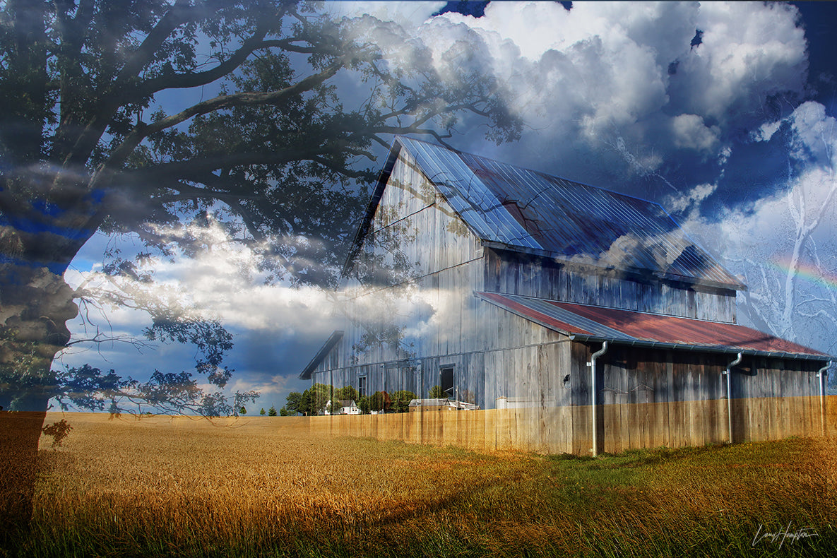 SKY BARN by LARRY HAMPTON