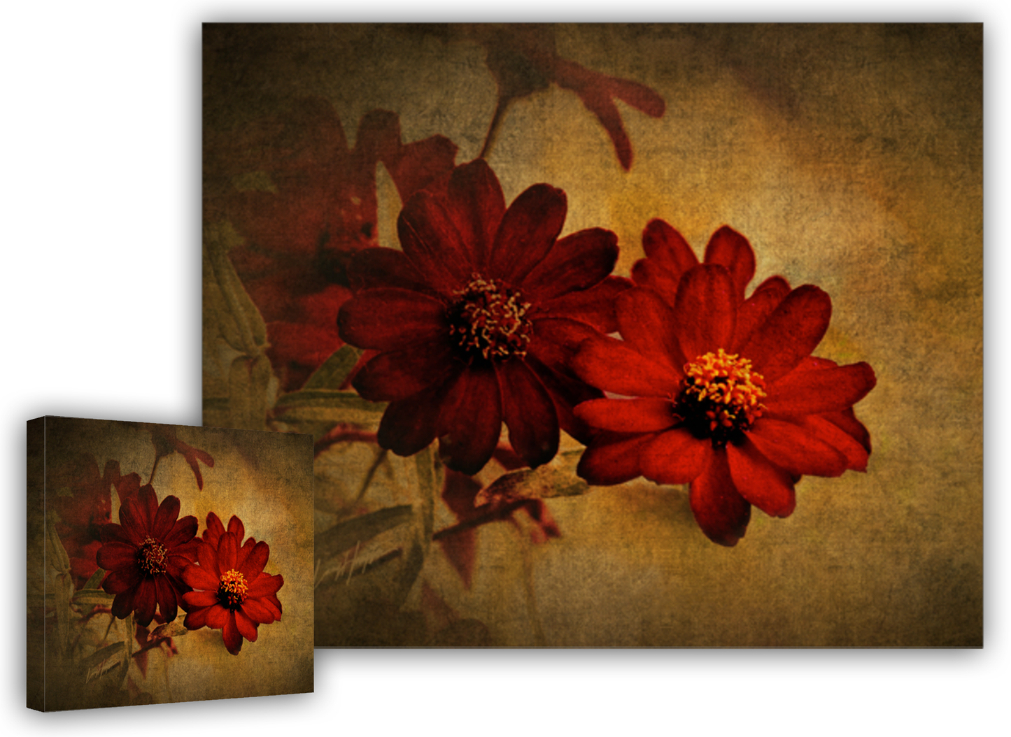 Red Petals on Canvas by LARRY HAMPTON