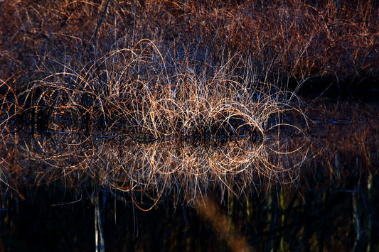 WIRED by LARRY HAMPTON