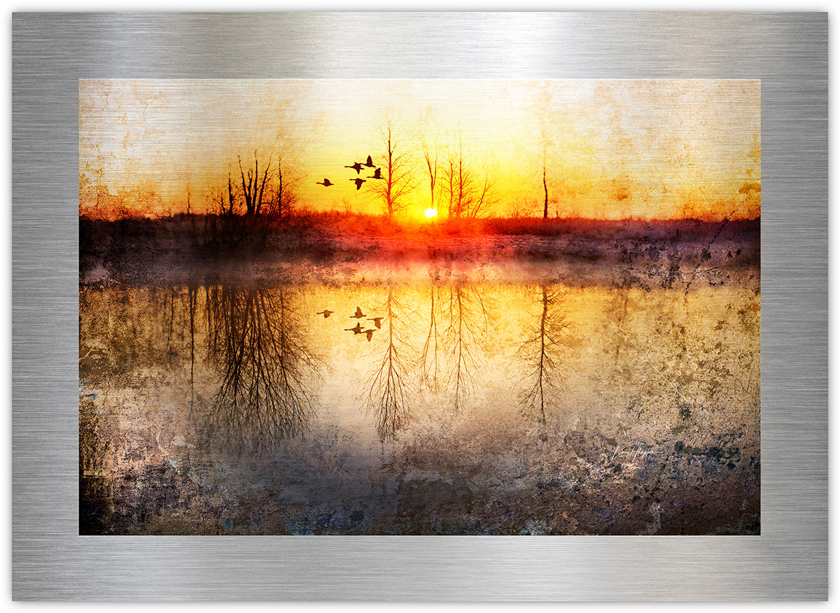 Flight - Fine Art Abstract Metal Print