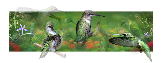 Hummer Lover - Fine Art Photo Composit Print