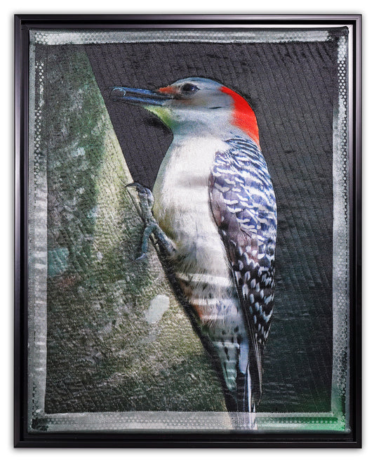 Red-bellied Woodpecker - Bird Watch Wall Quilt by Karen & Larry Hampton