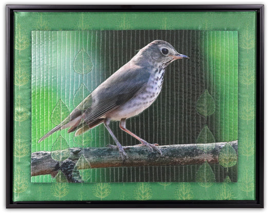 Thrush - Bird Watch Wall Quilt by Karen & Larry Hampton