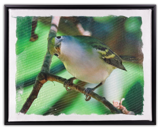 Goldfinch BW9245b - Bird Watch Wall Quilt by Karen & Larry Hampton