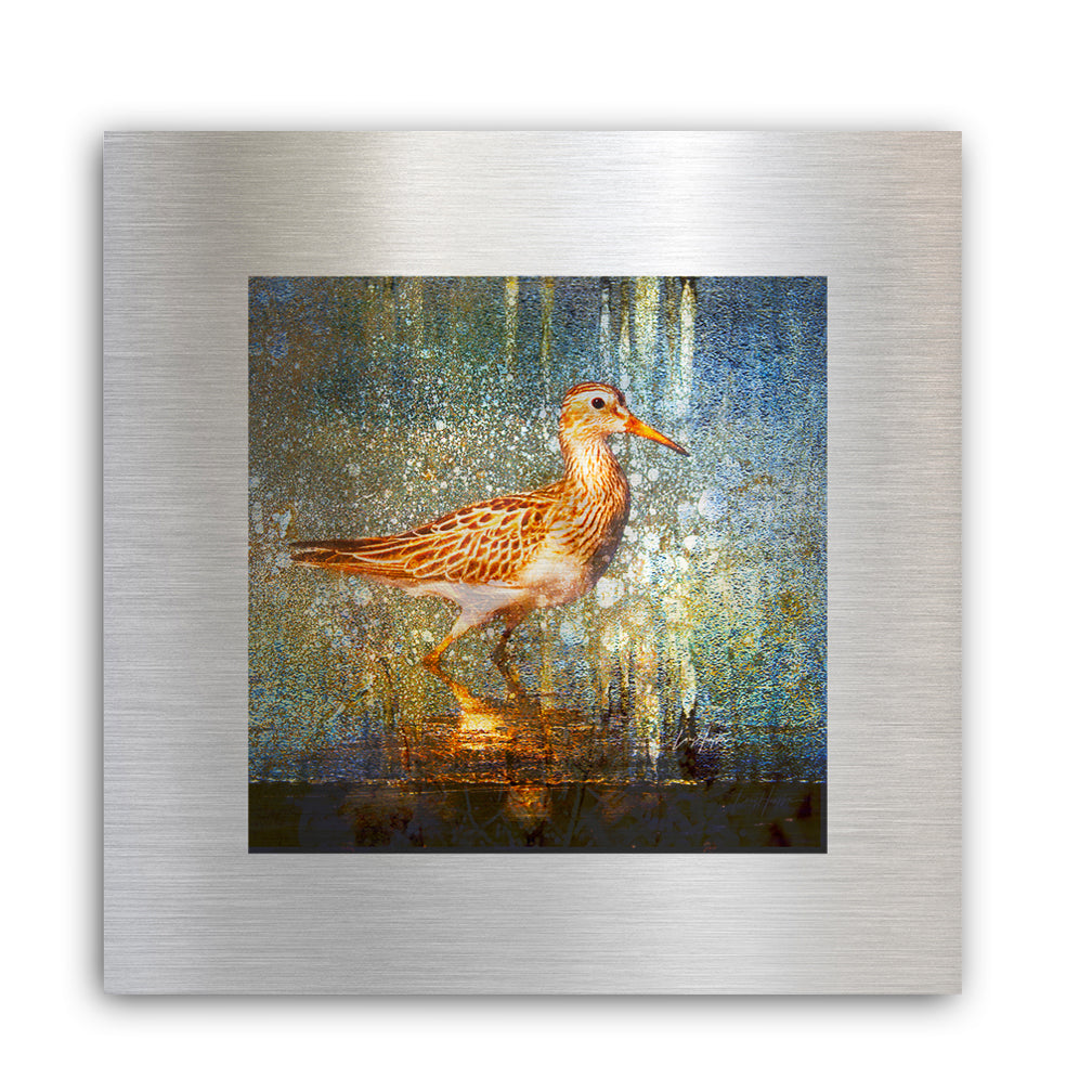Greater Yellowlegs - Fine Art Abstract Metal Print