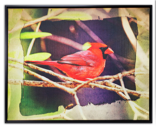 Cardinal - Bird Watch Wall Quilt by Karen & Larry Hampton