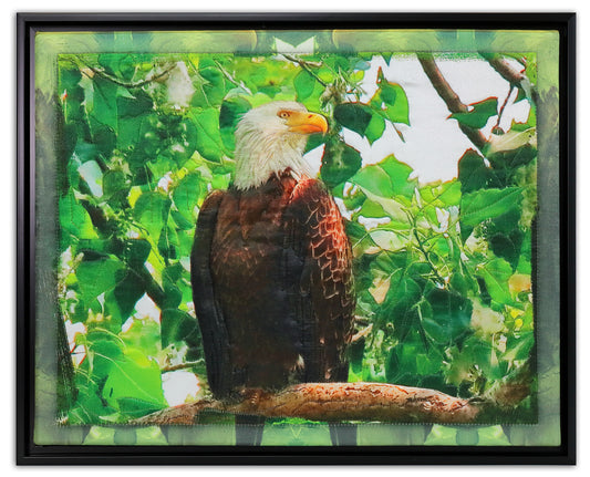 Eagle - Bird Watch Wall Quilt by Karen & Larry Hampton