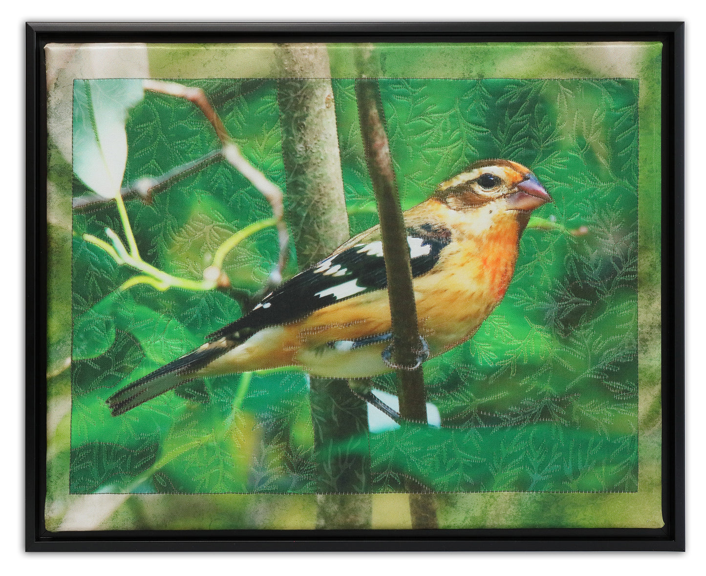 Grosbeak - Bird Watch Wall Quilt by Karen & Larry Hampton
