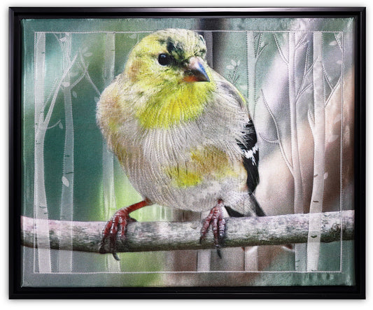 Goldfinch BW8892 - Bird Watch Wall Quilt by Karen & Larry Hampton